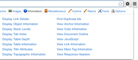 Webdeveloper Extension