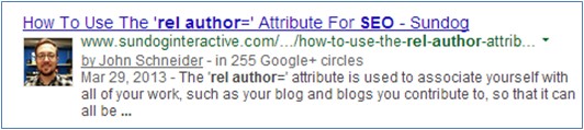 Google Author SERPs Result