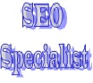 seo specialist3