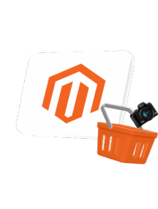 Magento Development