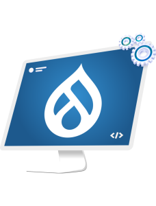 Drupal Maintenance Services