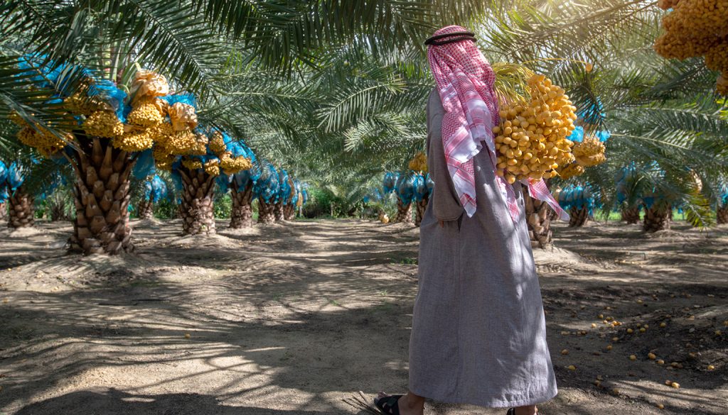 21st Liwa Dates Festival
